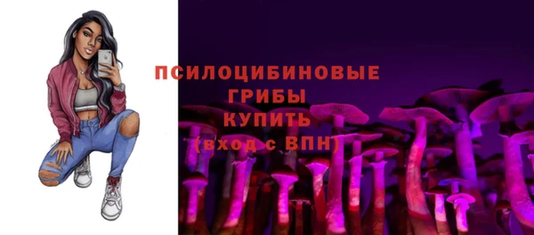 метадон Аркадак