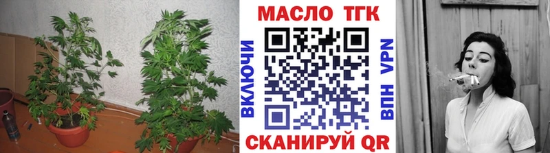 Дистиллят ТГК THC oil  hydra ONION  Светлоград 