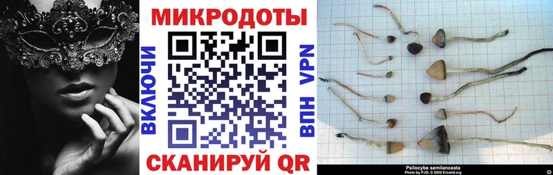 Псилоцибиновые грибы прущие грибы  Светлоград 